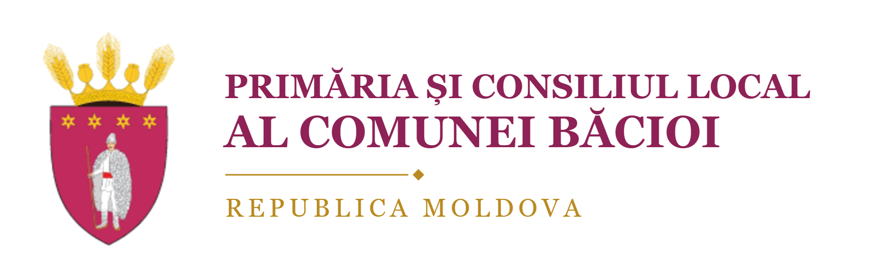 Primăria Comunei Băcioi